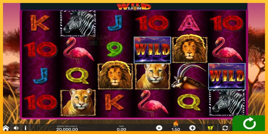 Wild Lion with Reel Bingo automat për para të vërteta, foto 1