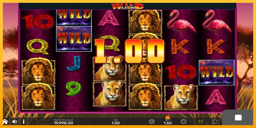 Wild Lion with Reel Bingo automat për para të vërteta, foto 2