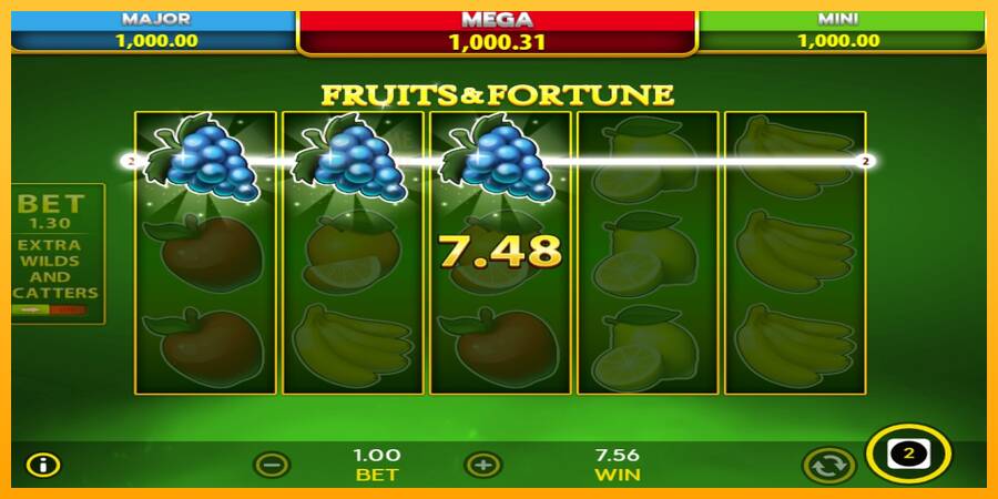 Fruits & Fortune automat për para të vërteta, foto 5