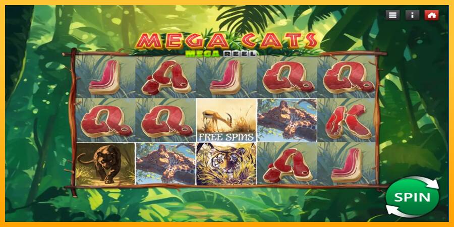 Mega Cats Mega Reel automat për para të vërteta, foto 1