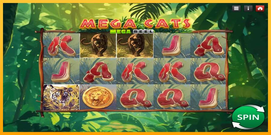 Mega Cats Mega Reel automat për para të vërteta, foto 2