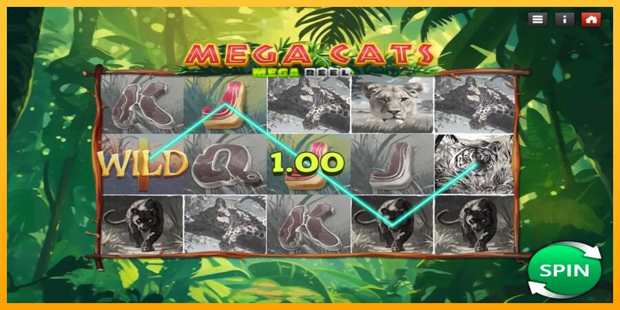 Mega Cats Mega Reel automat për para të vërteta, foto 3