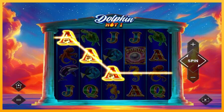 Dolphin Hot 1 automat për para të vërteta, foto 3