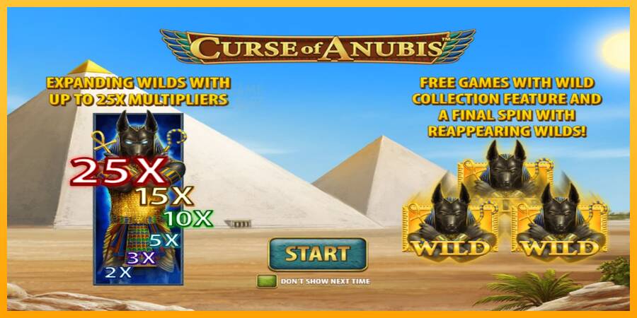 Curse of Anubis automat për para të vërteta, foto 1