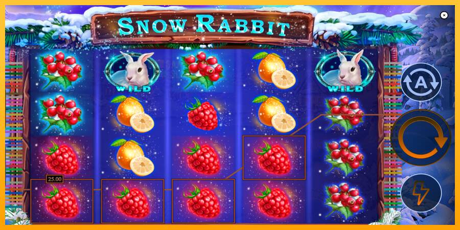 Snow Rabbit automat për para të vërteta, foto 4