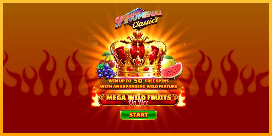 Mega Wild Fruits - On Fire automat për para të vërteta, foto 1