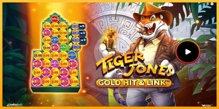 Gold Hit & Link: Tiger Jones automat për para të vërteta, foto 1