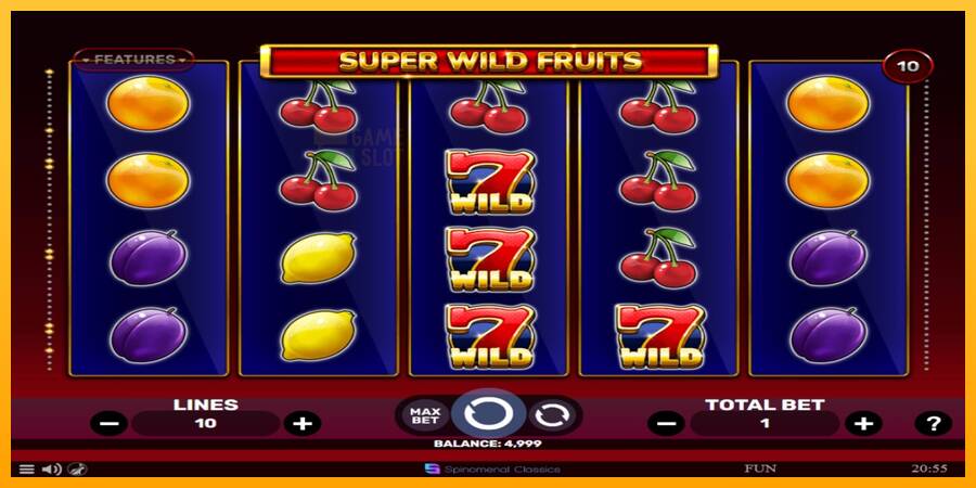 Super Wild Fruits automat për para të vërteta, foto 1