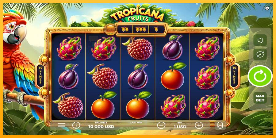 Tropicana Fruits automat për para të vërteta, foto 2