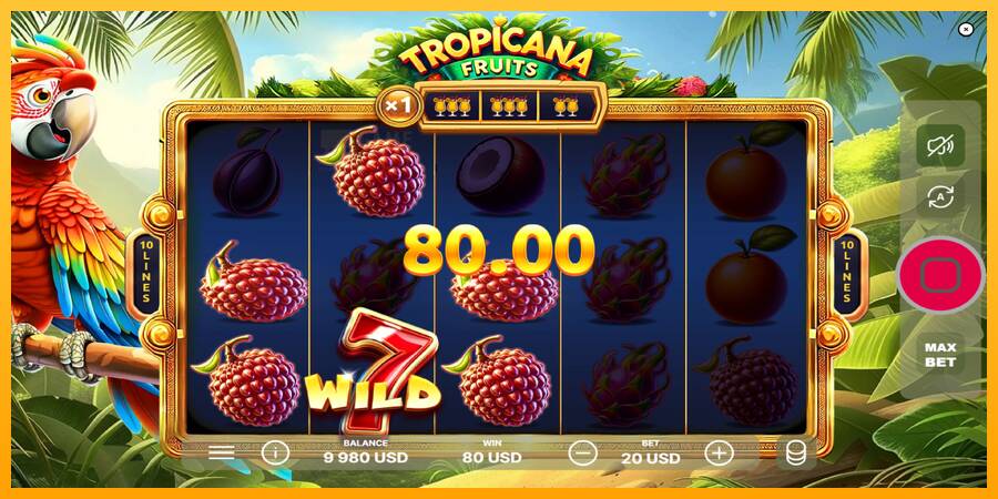 Tropicana Fruits automat për para të vërteta, foto 3