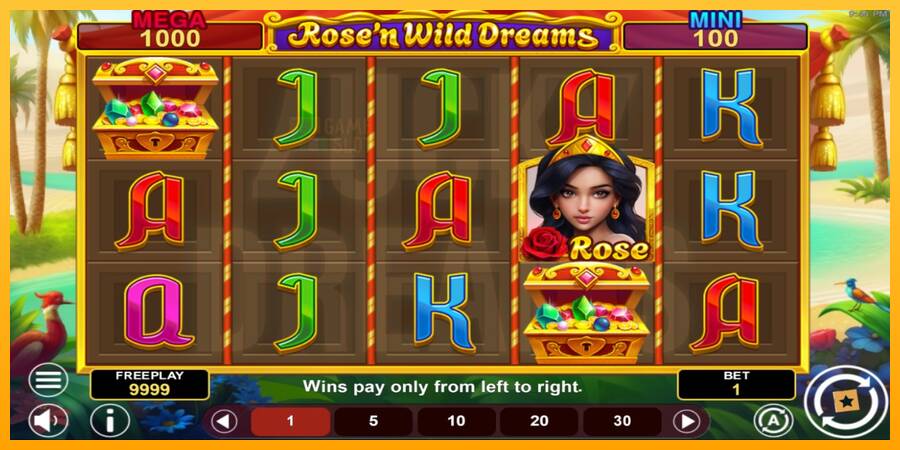 Rose’n Wild Dreams Hold & Win automat për para të vërteta, foto 2