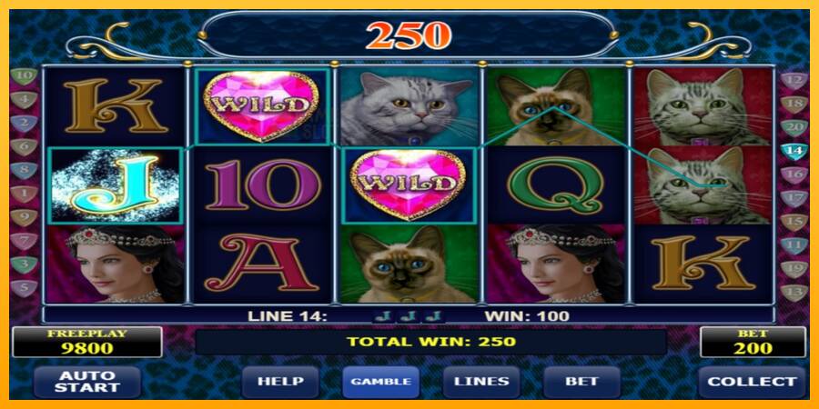 Diamond Cats automat për para të vërteta, foto 2