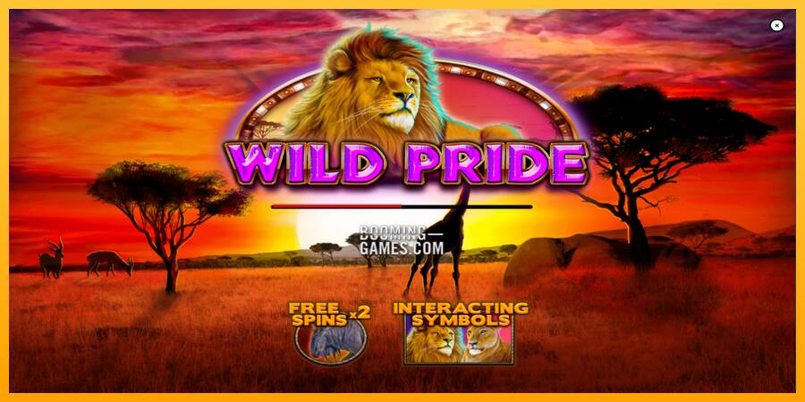 Wild Pride automat për para të vërteta, foto 1