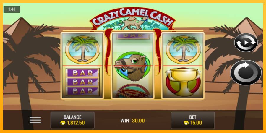 Crazy Camel Cash automat për para të vërteta, foto 3