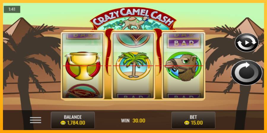 Crazy Camel Cash automat për para të vërteta, foto 4