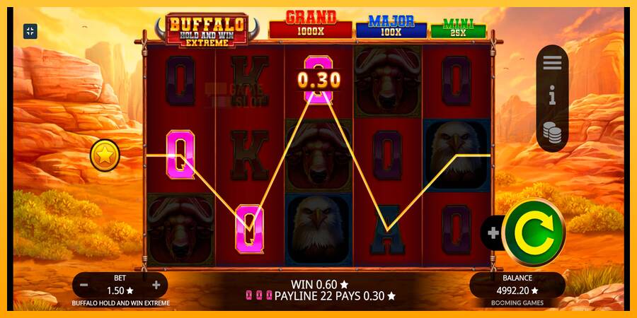 Buffalo Hold and Win Extreme automat për para të vërteta, foto 4