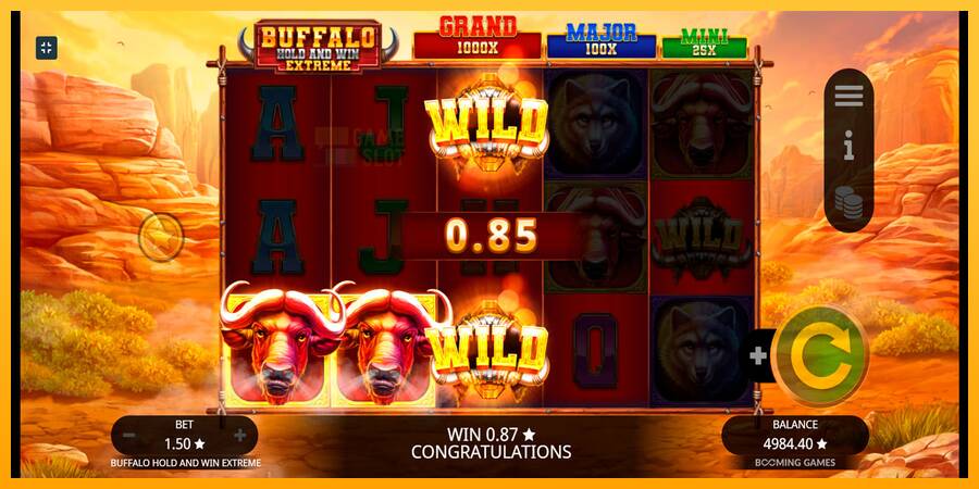 Buffalo Hold and Win Extreme automat për para të vërteta, foto 6