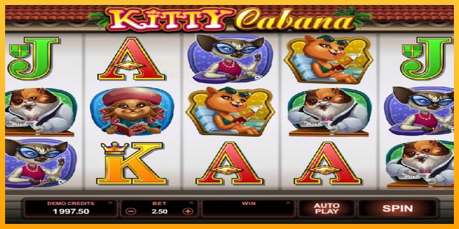 Kitty Cabana automat për para të vërteta, foto 2