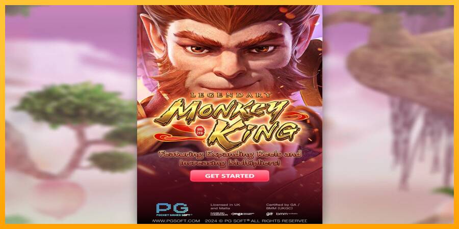 Legendary Monkey King automat për para të vërteta, foto 1