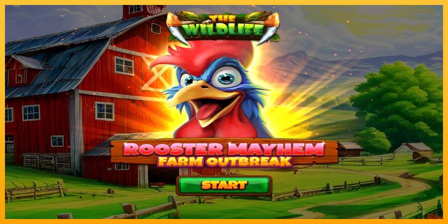 Rooster Mayhem Farm Outbreak automat për para të vërteta, foto 1