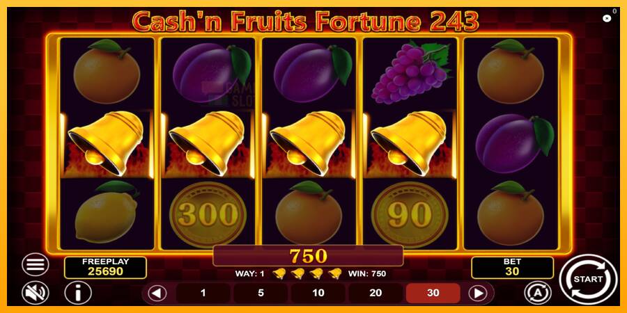 Cashn Fruits Fortune 243 automat për para të vërteta, foto 5