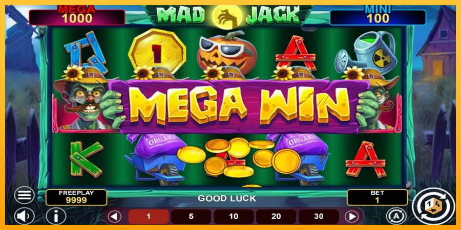 Mad Jack Hold & Win automat për para të vërteta, foto 2