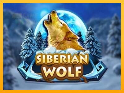 Siberian Wolf automat për para të vërteta