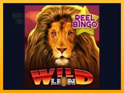 Wild Lion with Reel Bingo automat për para të vërteta