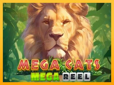 Mega Cats Mega Reel automat për para të vërteta