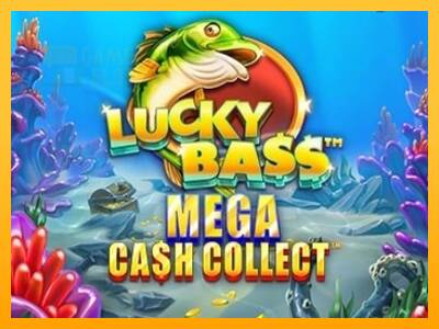 Lucky Bass Mega Cash Collect automat për para të vërteta