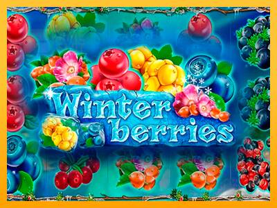 Winterberries automat për para të vërteta